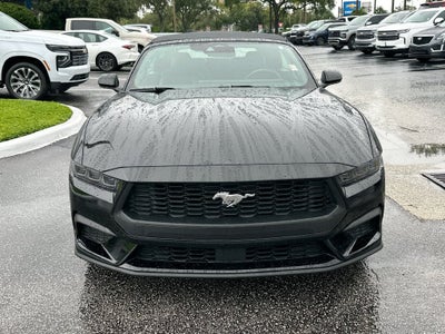 2025 Ford Mustang EcoBoost