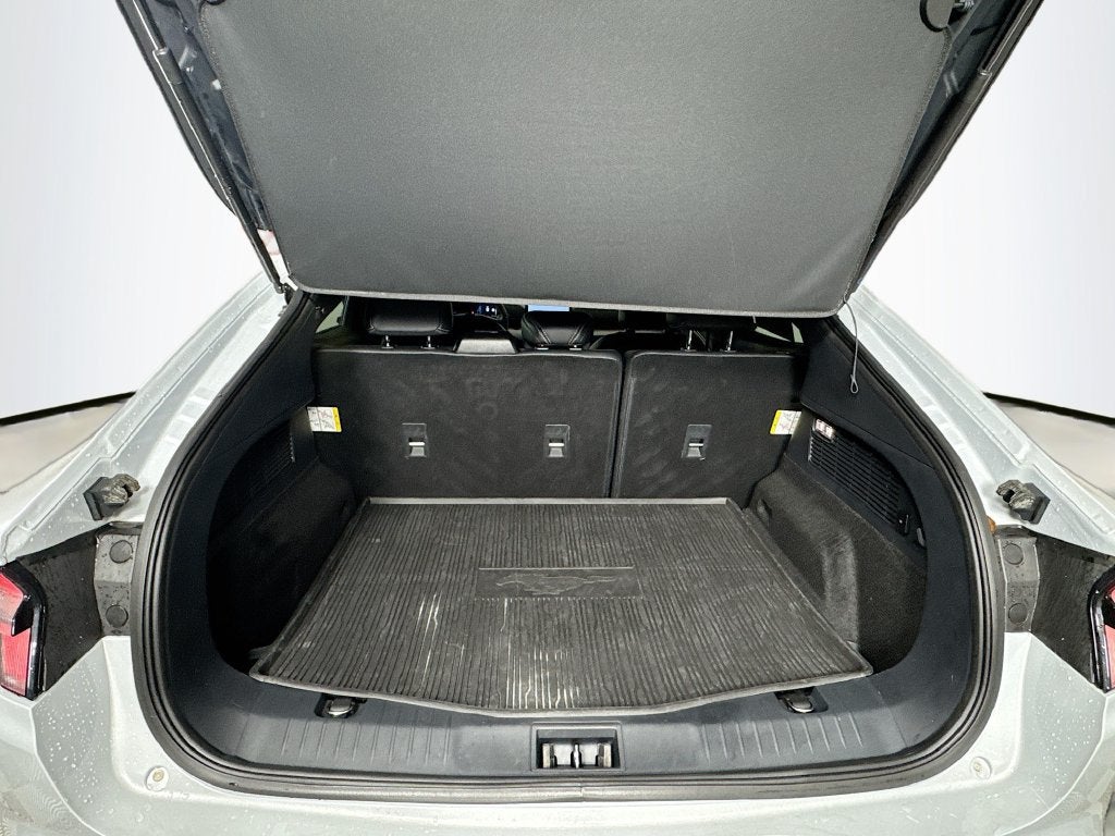 2023 Ford Mustang Mach-E California Route 1
