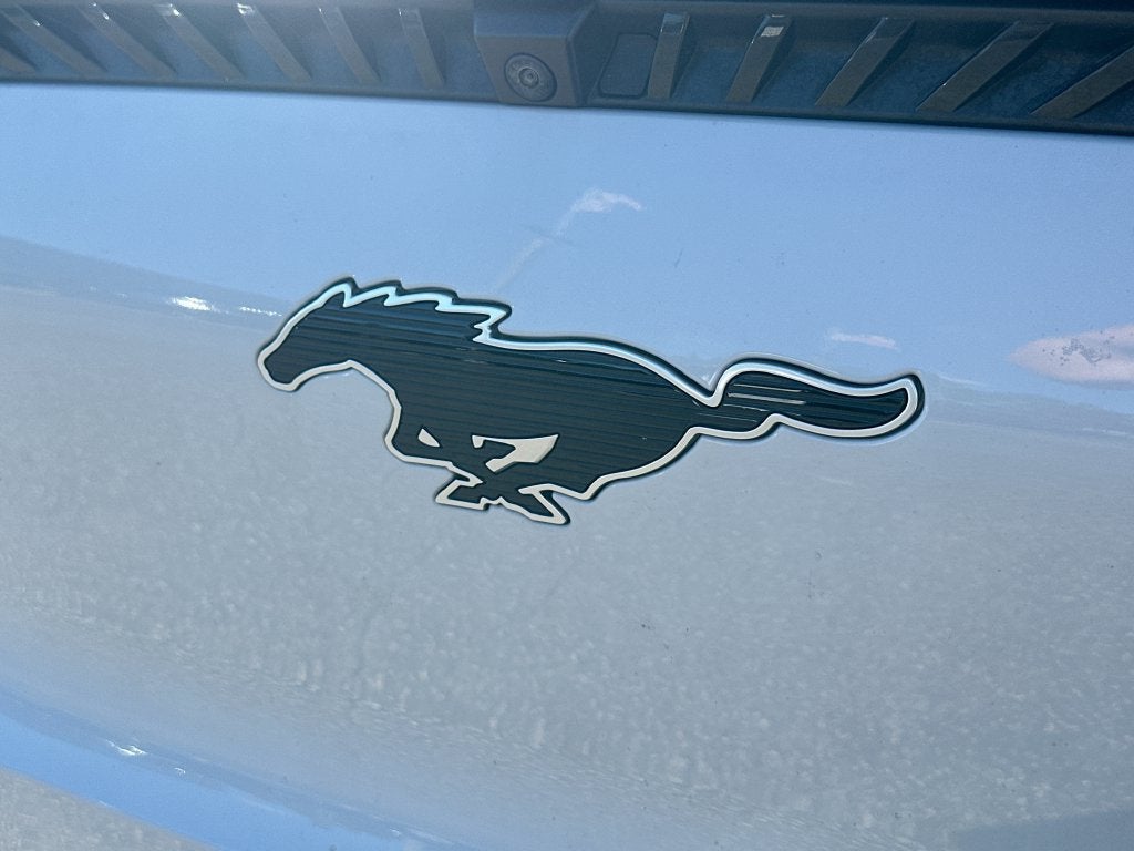2023 Ford Mustang Mach-E California Route 1